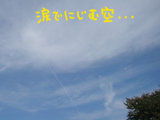 涙でにじむ空