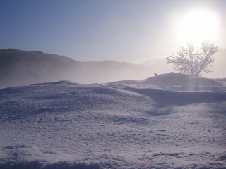 雪景色1