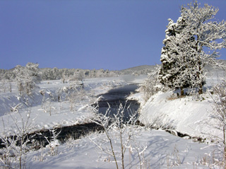 雪景色2