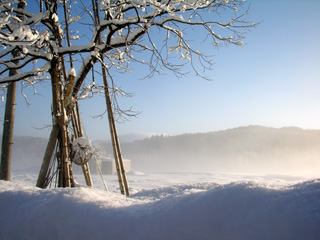 雪景色3