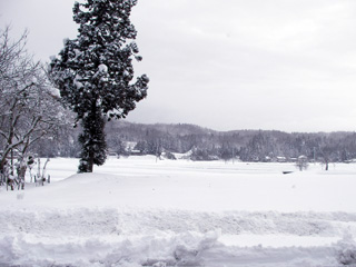 雪景色