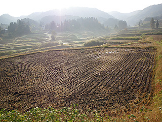 今朝の長岡