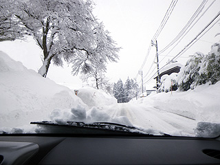 今朝の雪