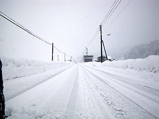 朝の雪