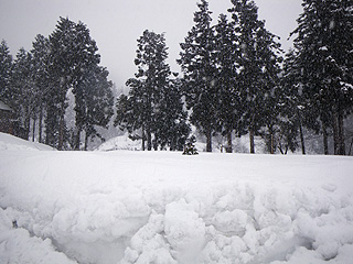 雪景色