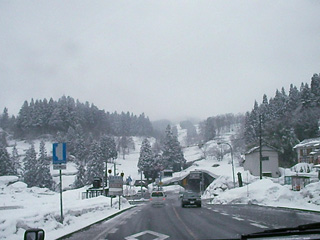 今日も雪