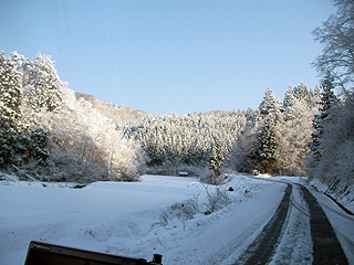 雪景色