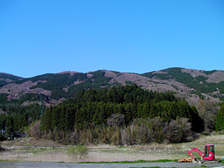 春の山