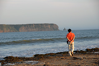 嶮暮帰島