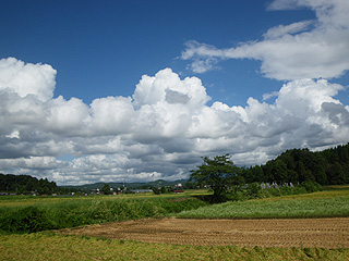 秋の空