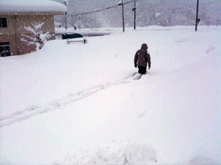 雪の中へ