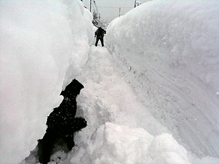 雪の歩道