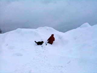 雪の散歩