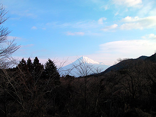 オーランドから臨む富士山