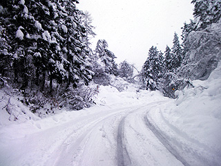 雪国新潟