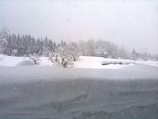 雪景色