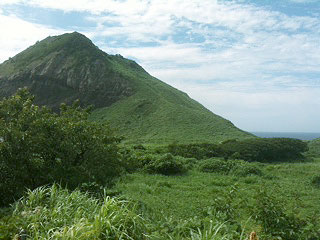 大野亀