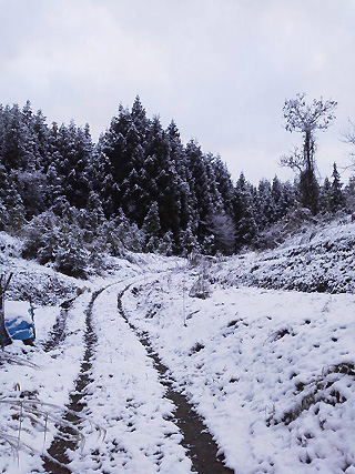 雪