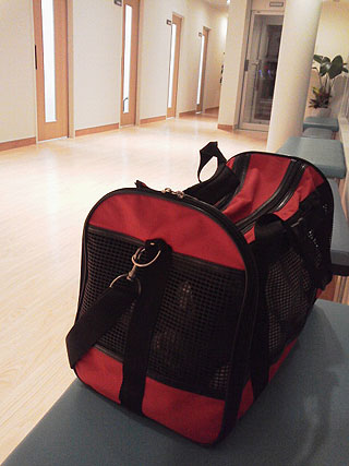 2012-12-12-carrybag.jpg