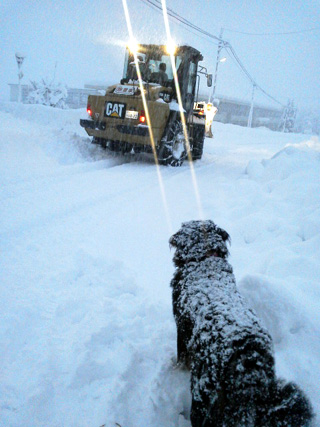 除雪車