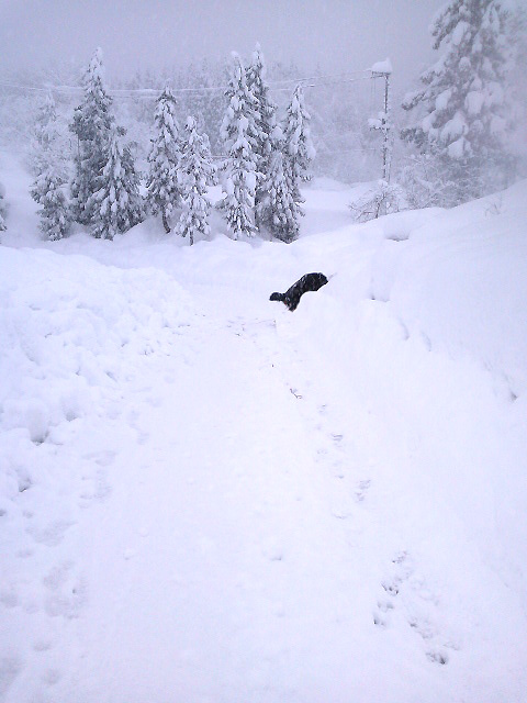 大雪