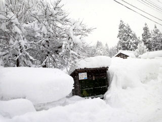 雪