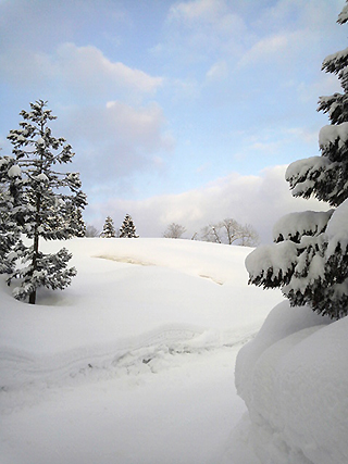 雪