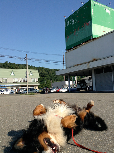 ウトロン