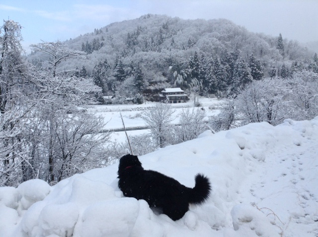 麓の村