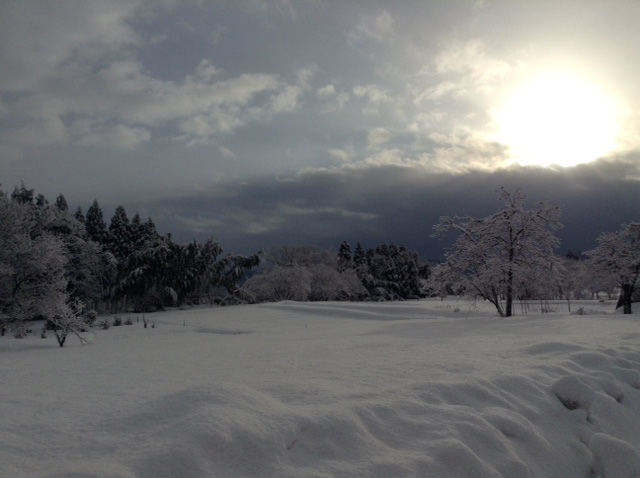 雪景色