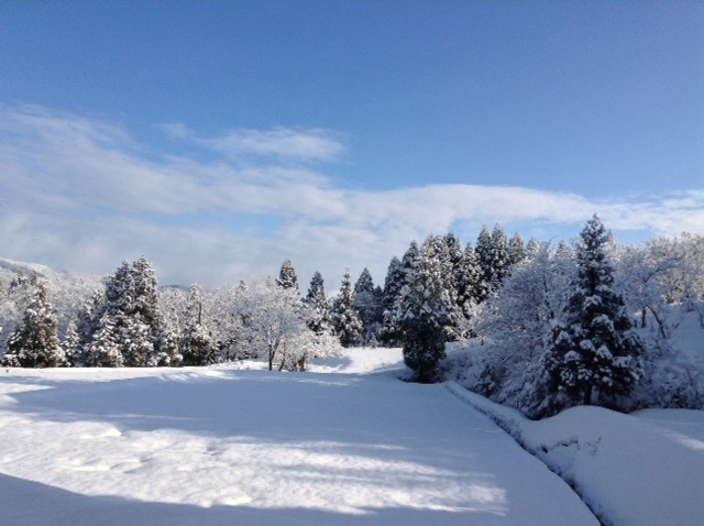 雪景色