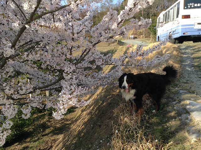 “ウトロン”