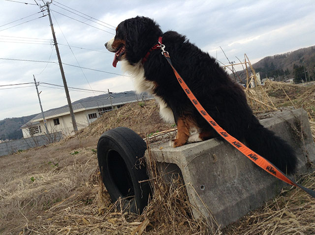 “練習場”