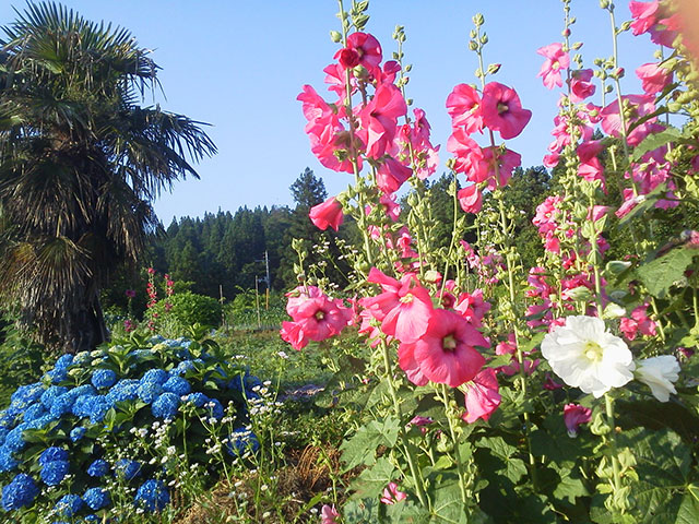 “花”