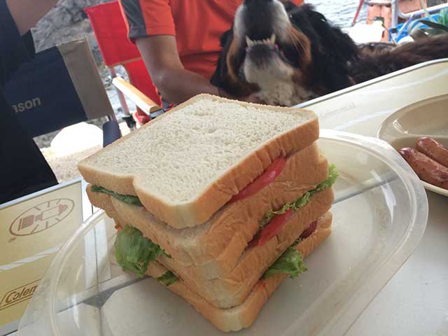 “サンドイッチ”