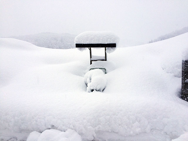 雪景色