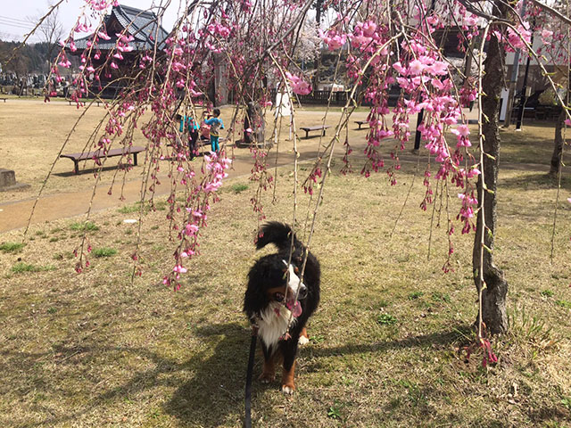 ウトロン