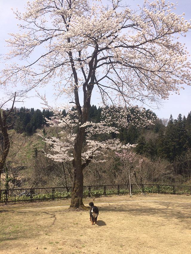 ウトロン