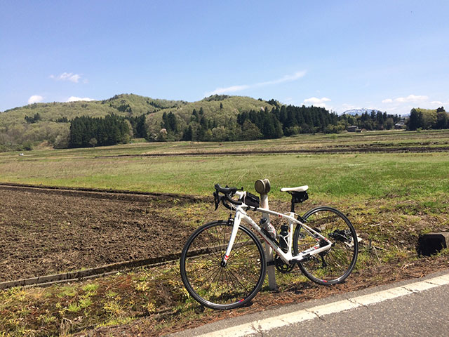 田んぼ