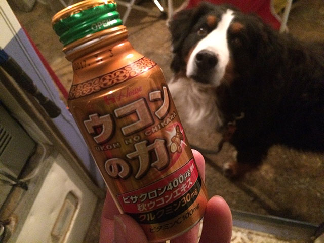 ウコンの力