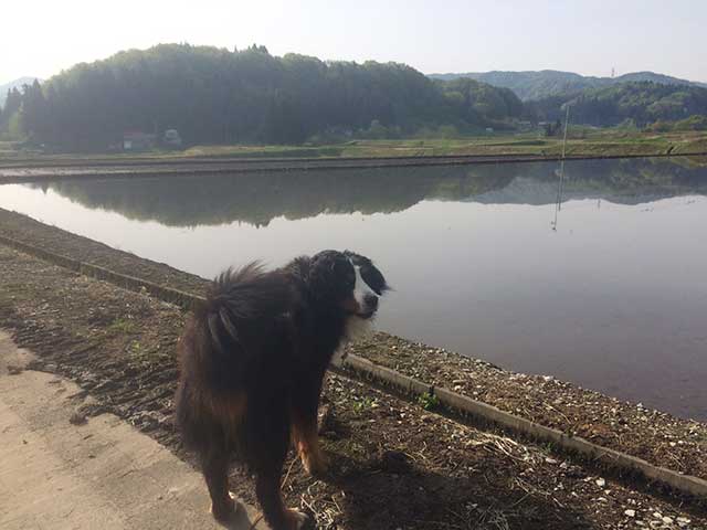 ウトロン