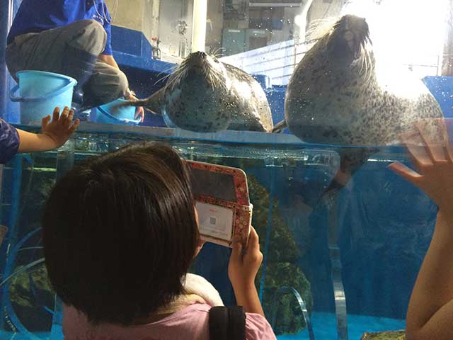 あざらし