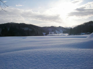 窓からの風景