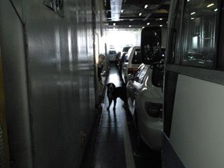 2008-05-02-11ferry.jpg